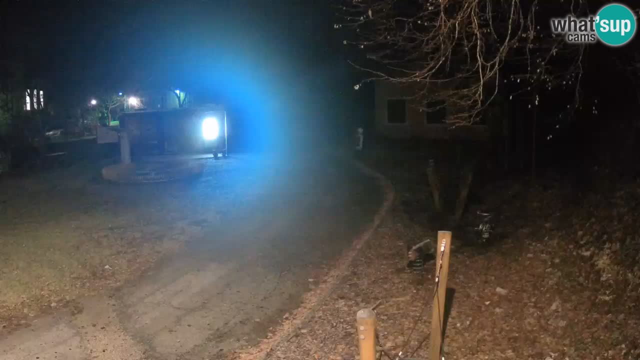 Skrad webcam Zeleni Vir