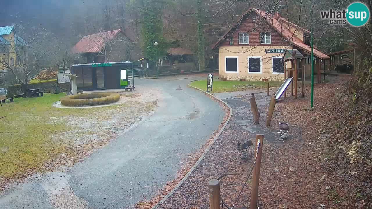 Skrad Livecam Zeleni Vir