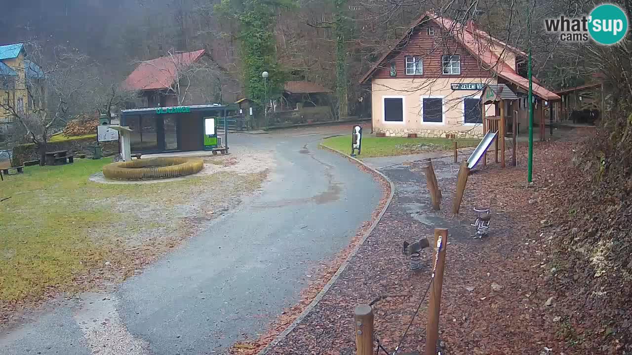 Skrad web kamera Zeleni Vir