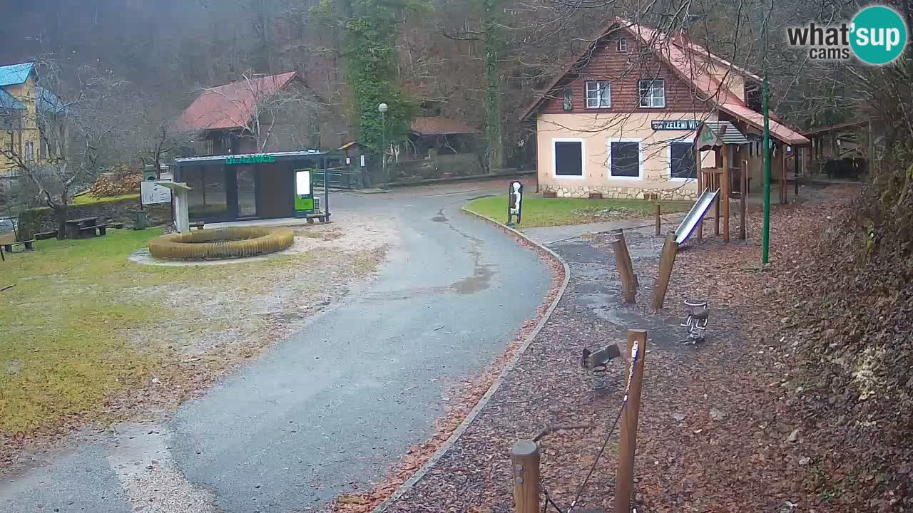 Skrad spletna kamera Zeleni Vir