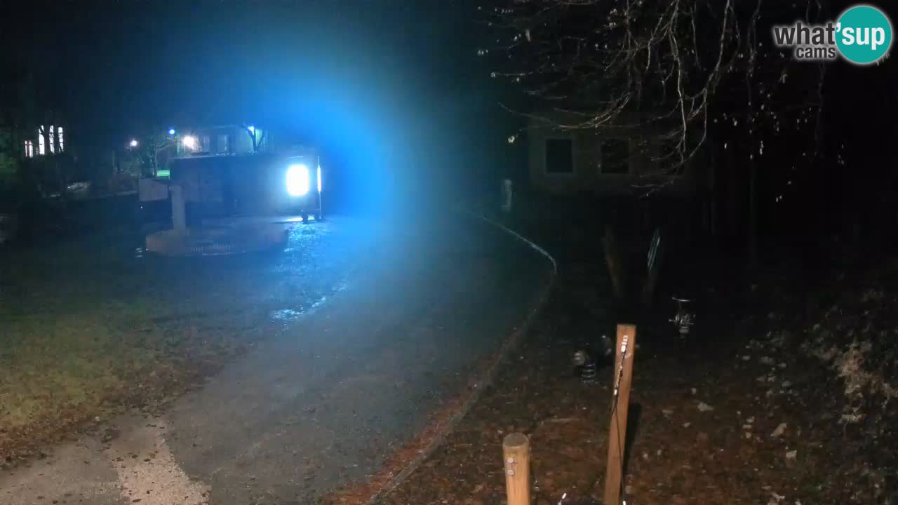 Skrad spletna kamera Zeleni Vir