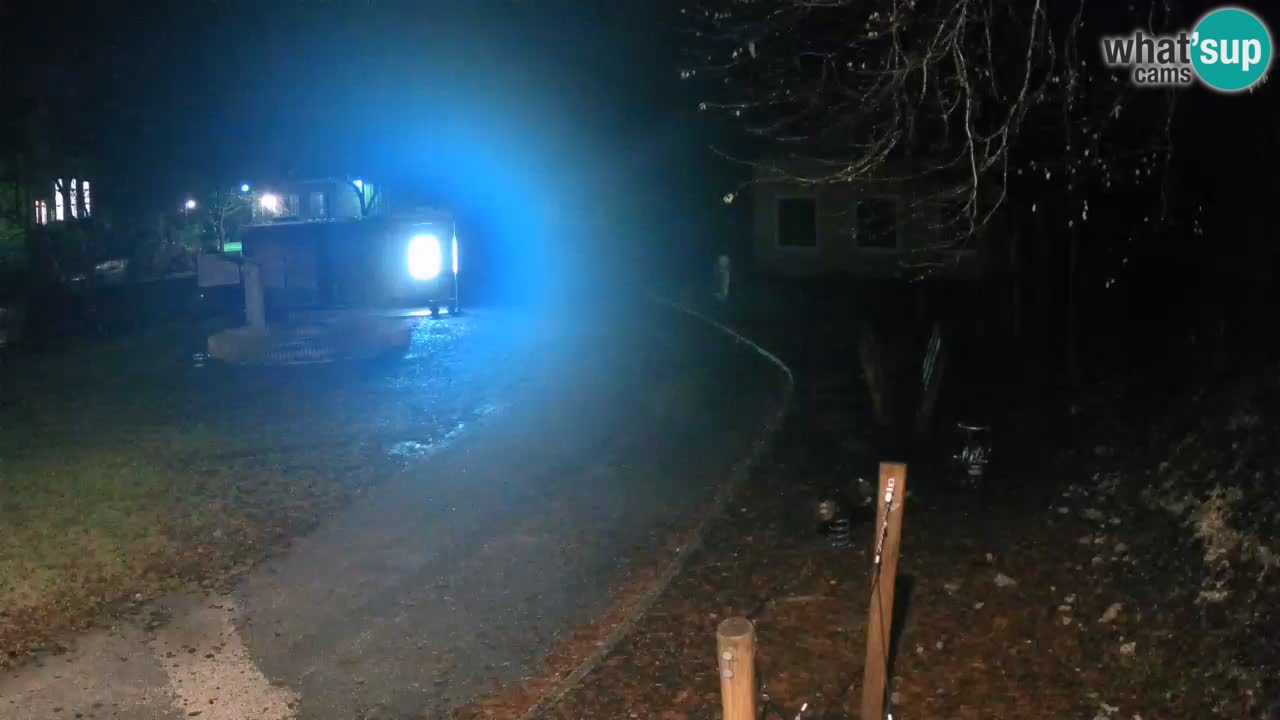 Skrad webcam Zeleni Vir