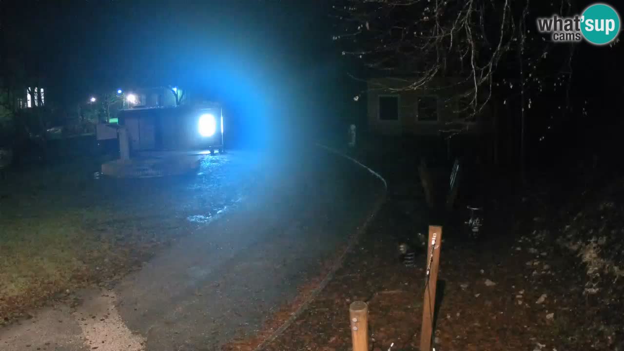 Skrad web kamera Zeleni Vir