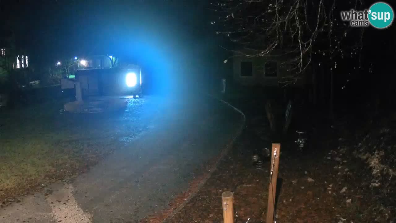 Skrad webcam Zeleni Vir