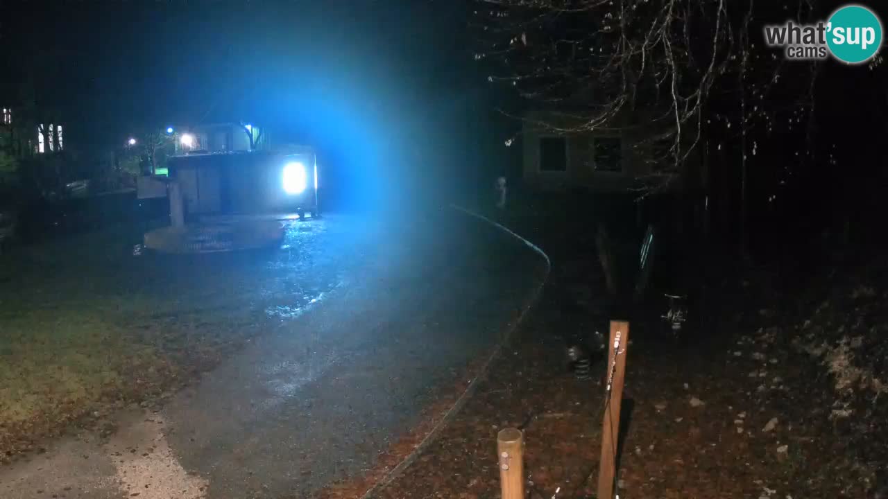 Skrad spletna kamera Zeleni Vir