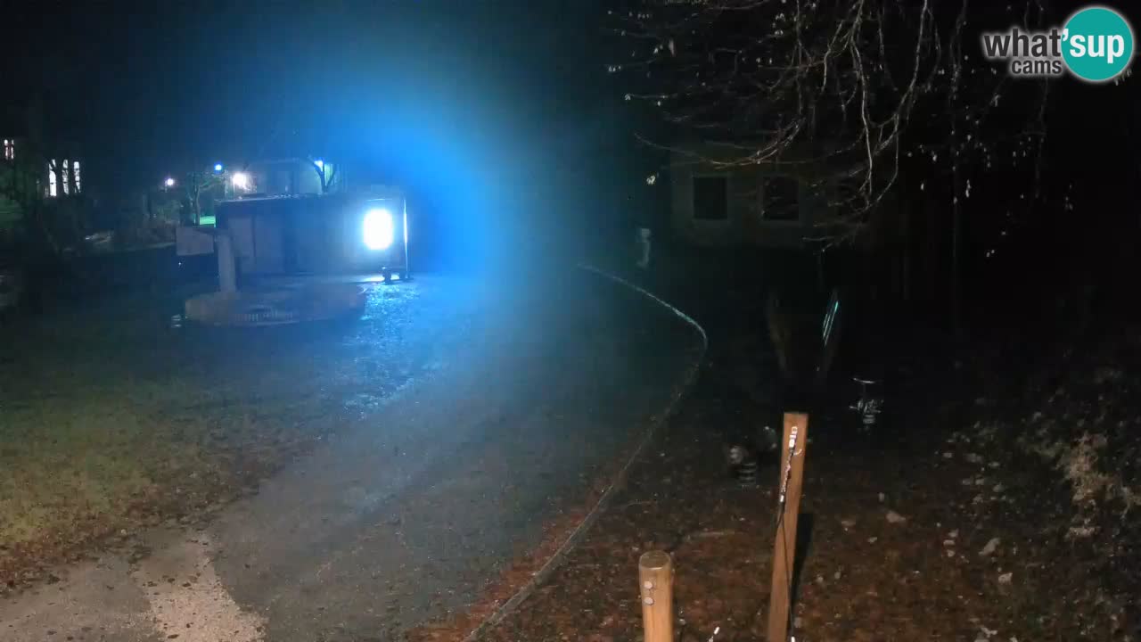 Skrad web kamera Zeleni Vir