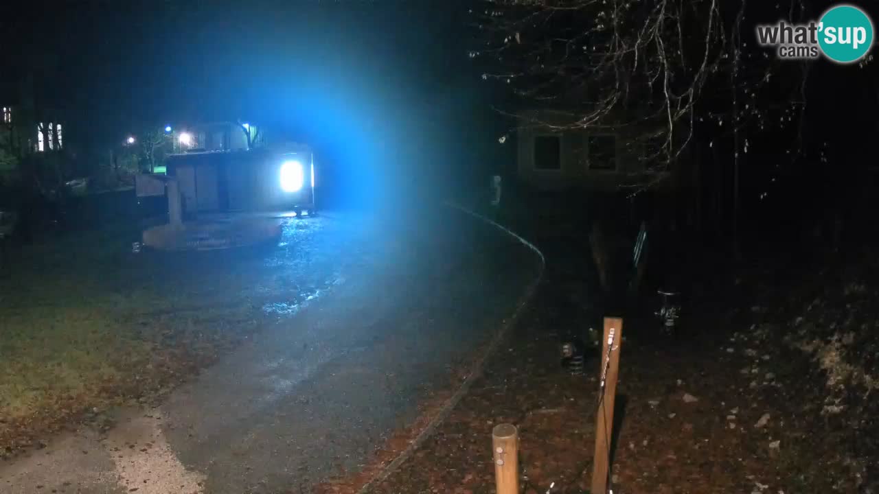 Skrad webcam Zeleni Vir