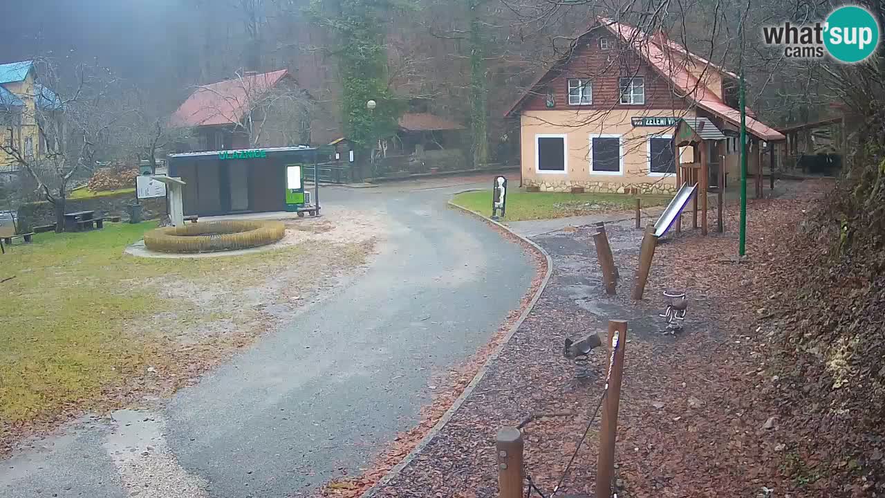 Skrad webcam Zeleni Vir