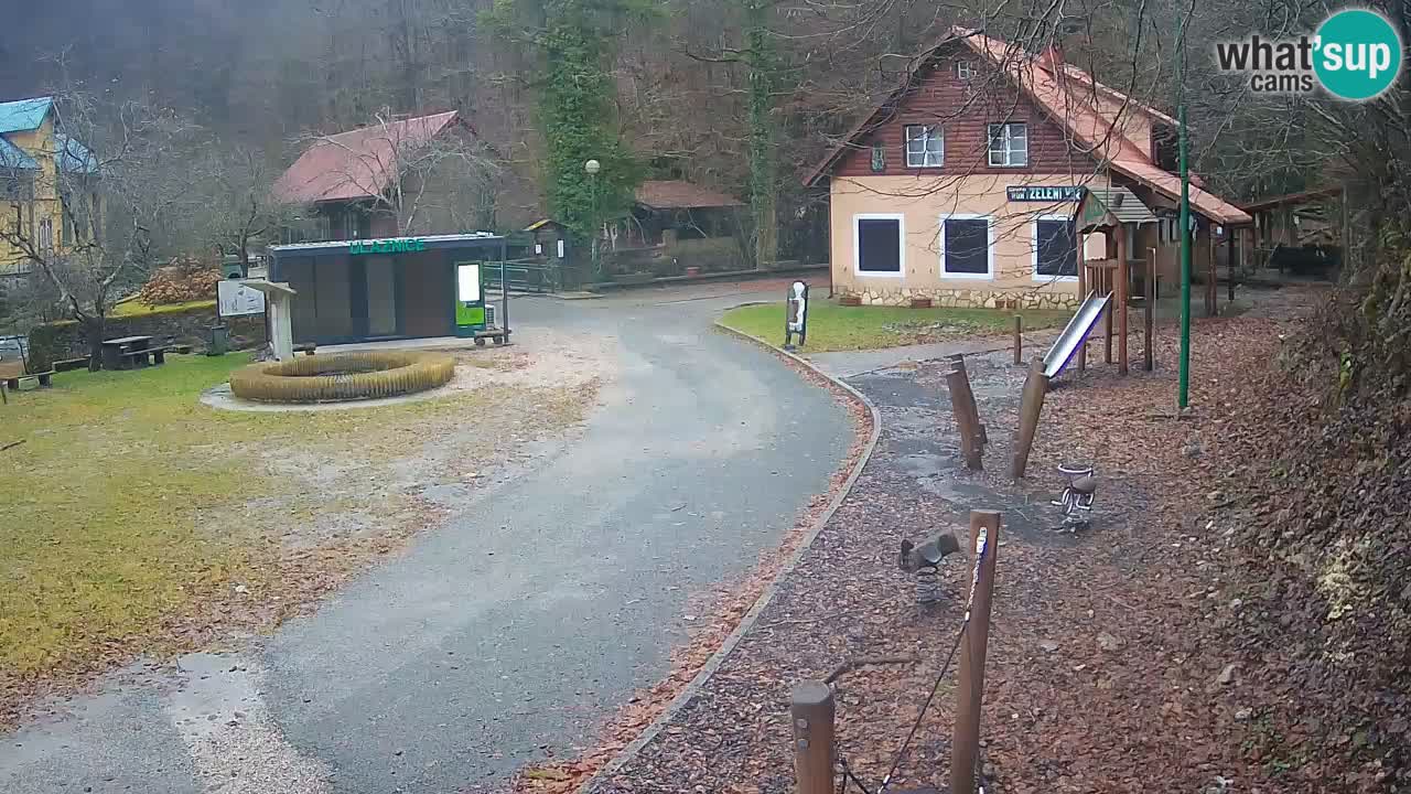 Skrad webcam Zeleni Vir