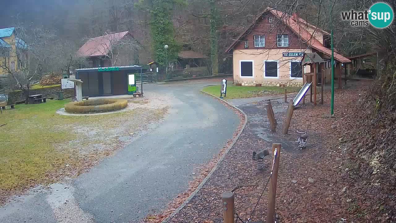 Skrad Livecam Zeleni Vir