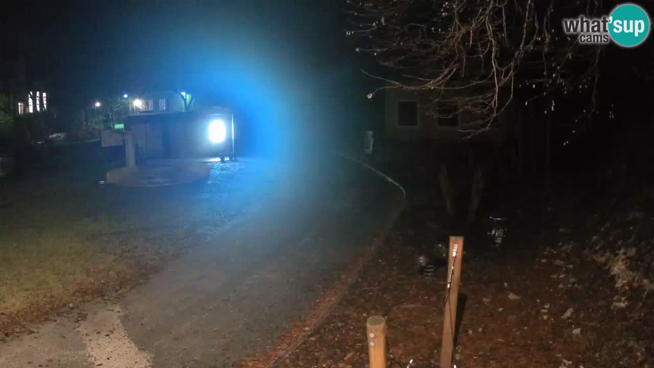 Skrad Livecam Zeleni Vir