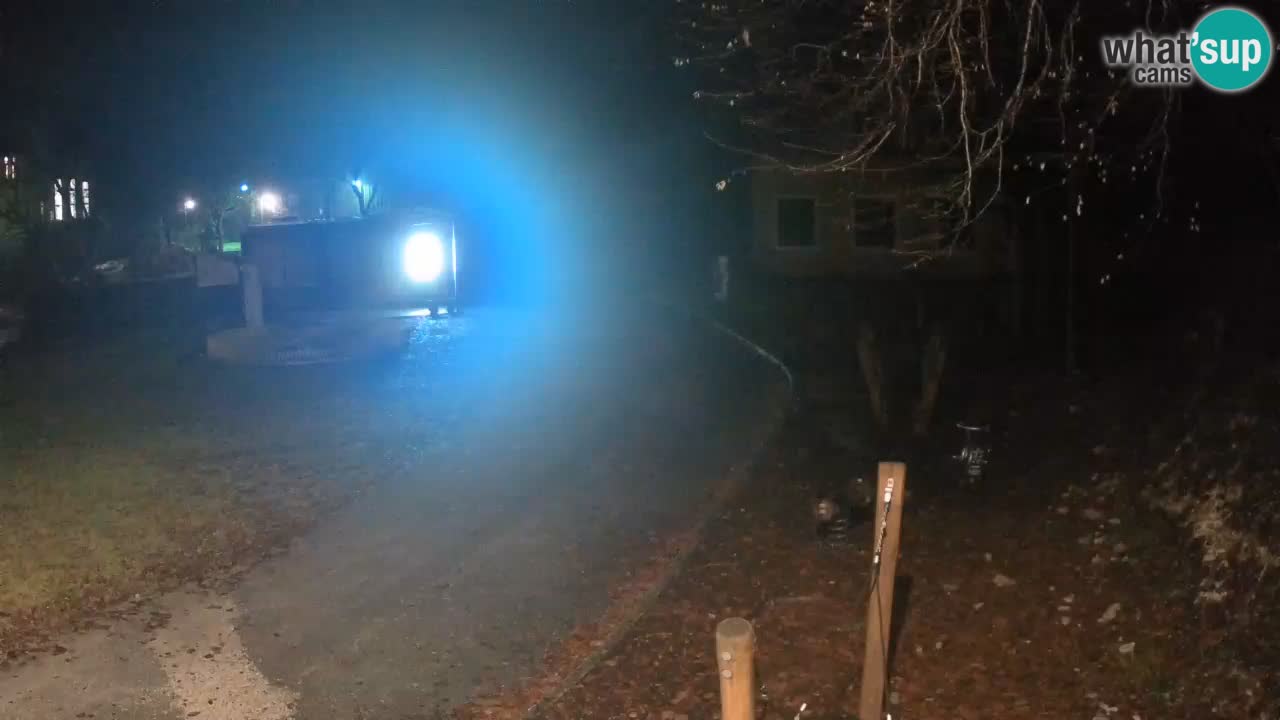 Skrad webcam Zeleni Vir