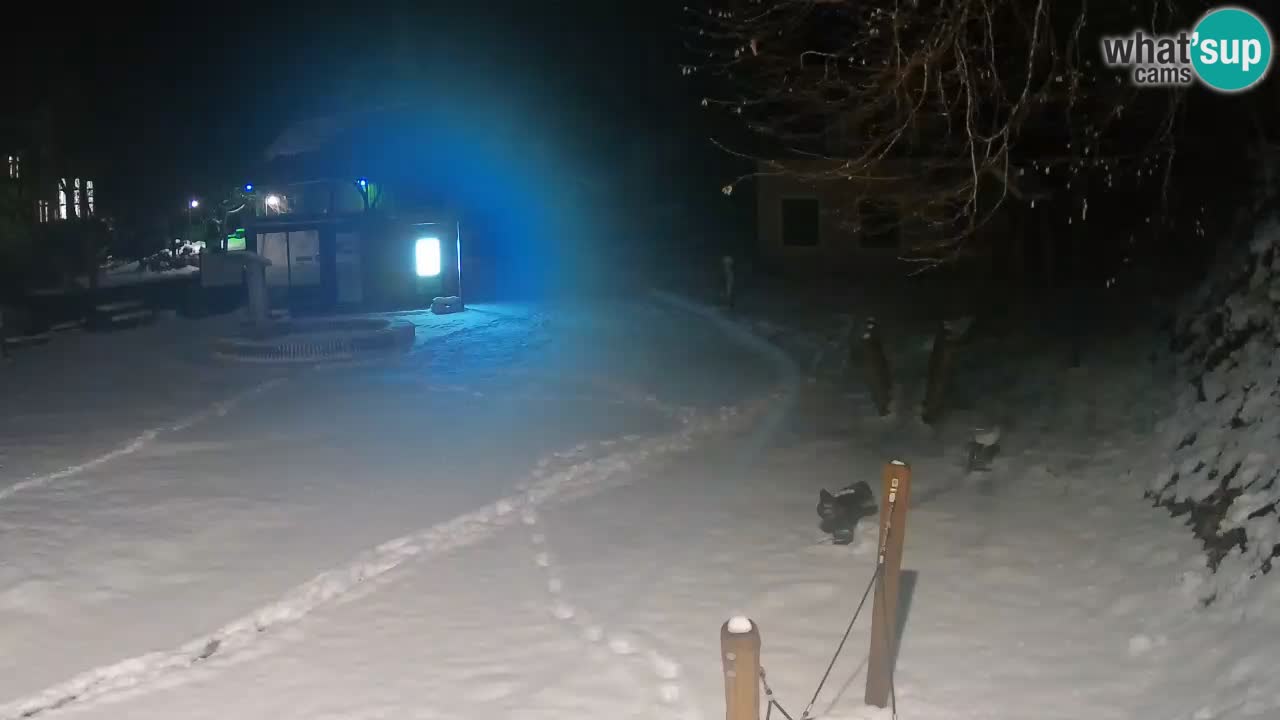 Skrad webcam Zeleni Vir