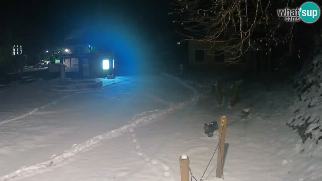 Skrad webcam Zeleni Vir