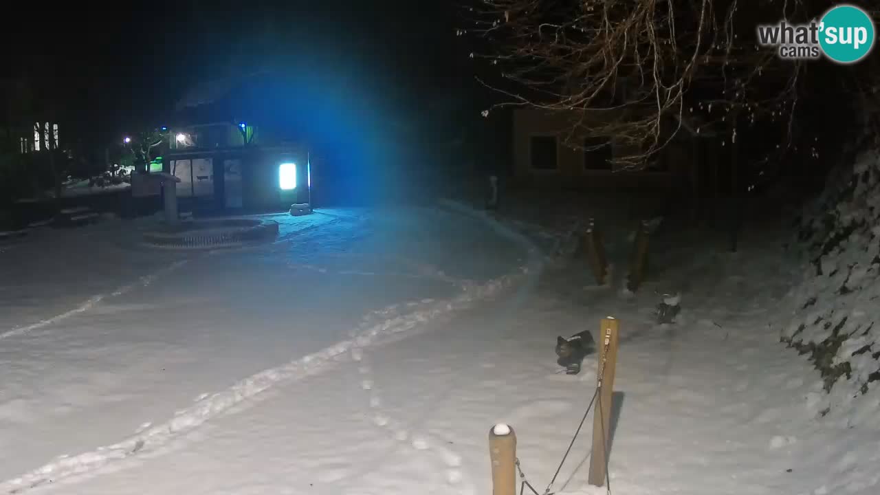 Skrad Livecam Zeleni Vir