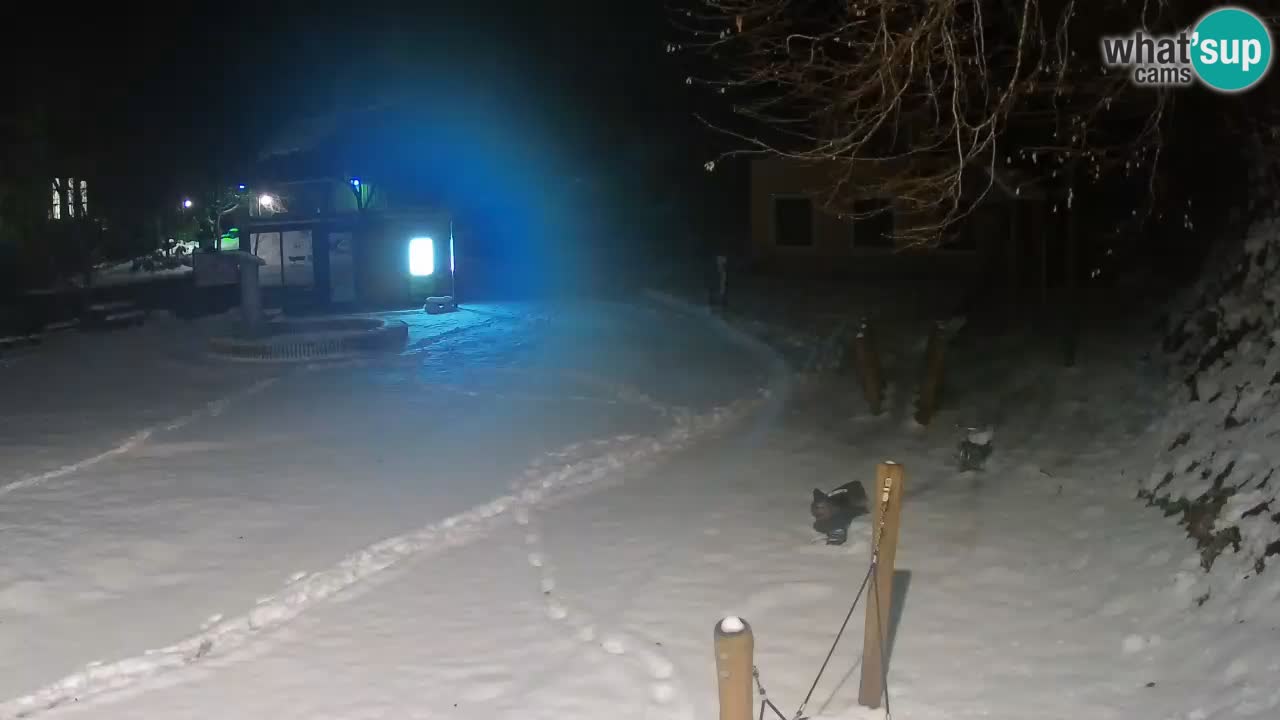 Skrad live cam Zeleni Vir