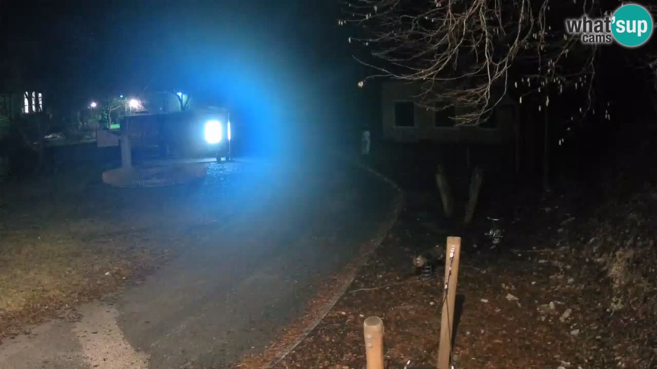 Skrad Livecam Zeleni Vir