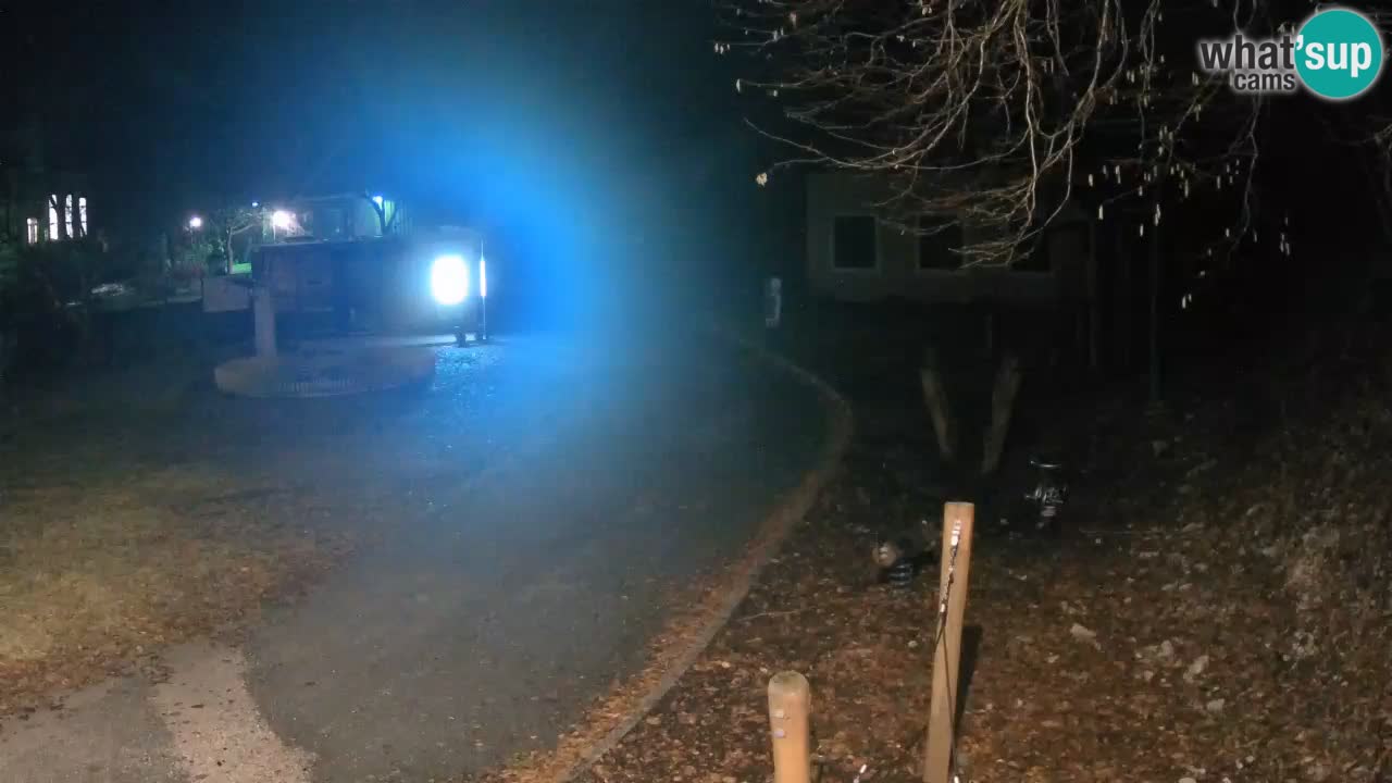 Skrad spletna kamera Zeleni Vir