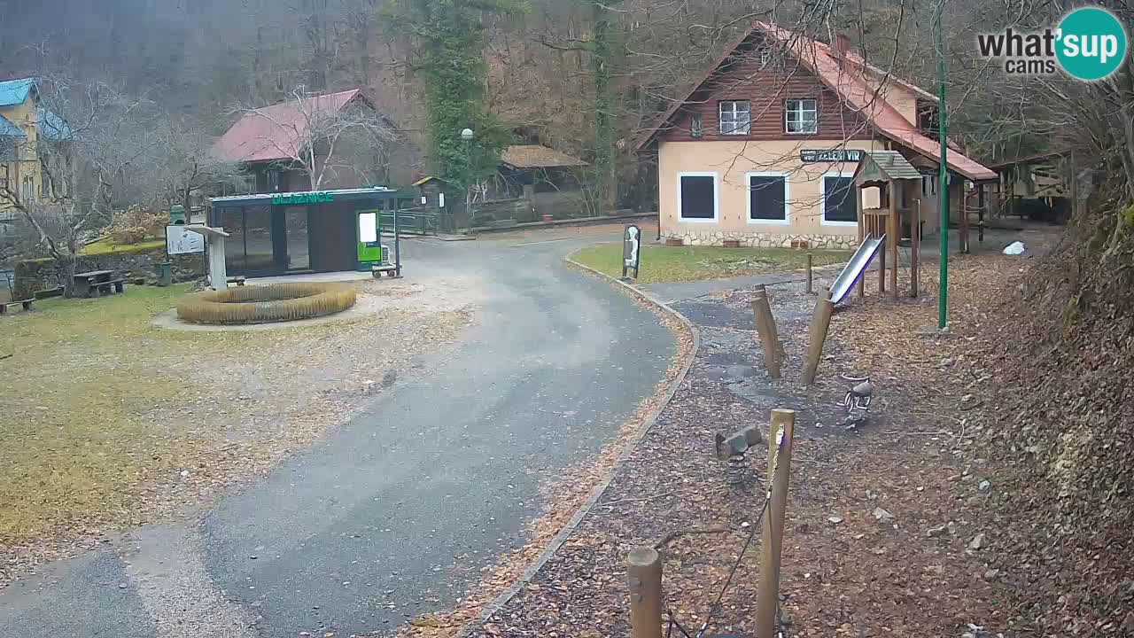 Skrad web kamera Zeleni Vir