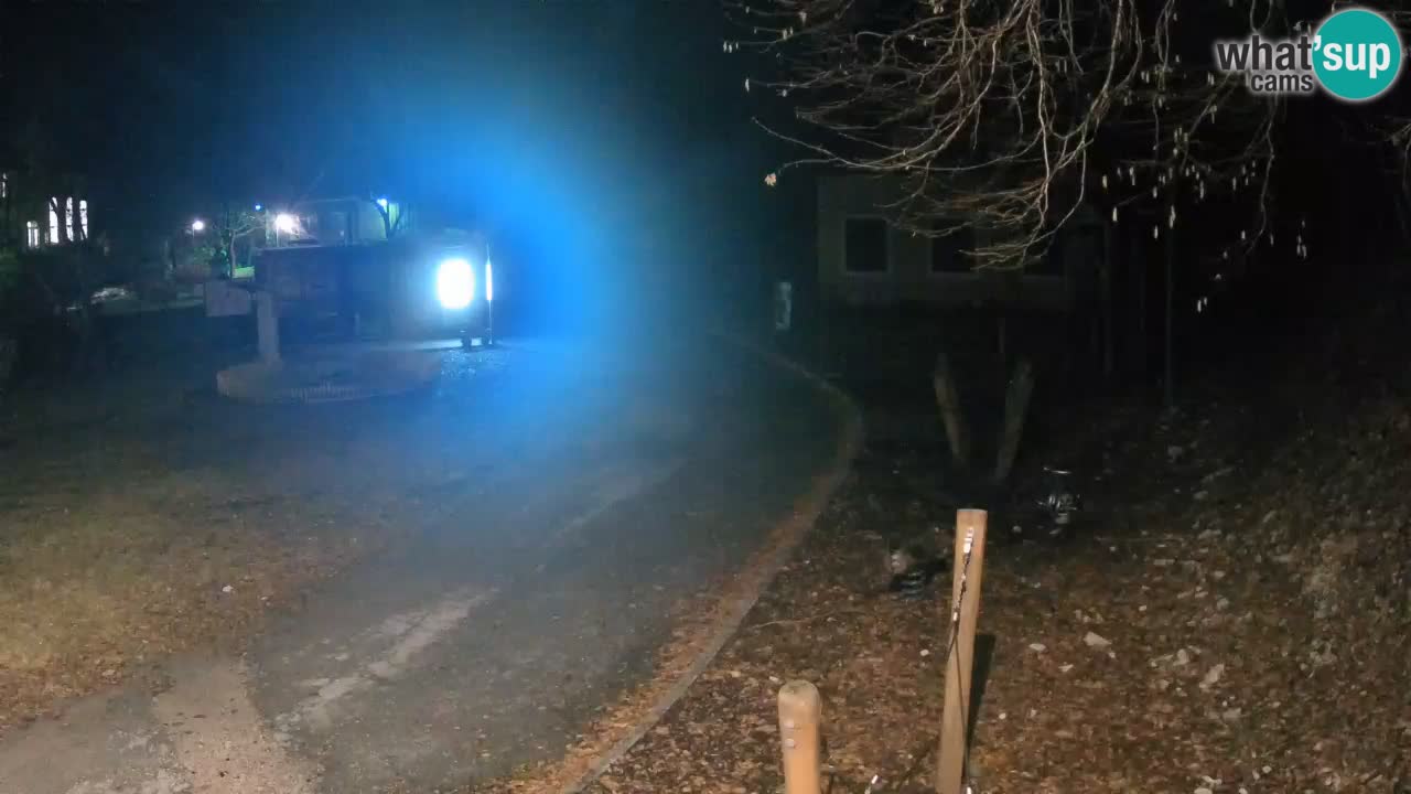 Skrad spletna kamera Zeleni Vir