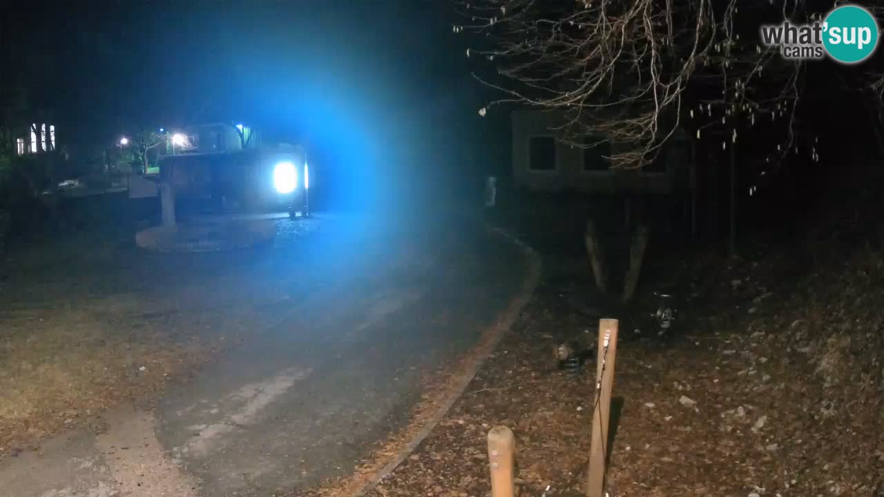 Skrad webcam Zeleni Vir