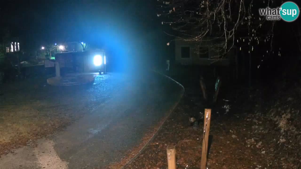 Skrad webcam Zeleni Vir