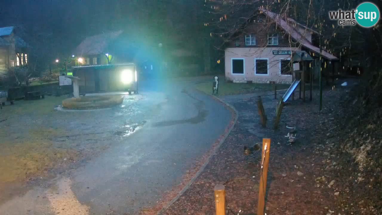 Skrad webcam Zeleni Vir