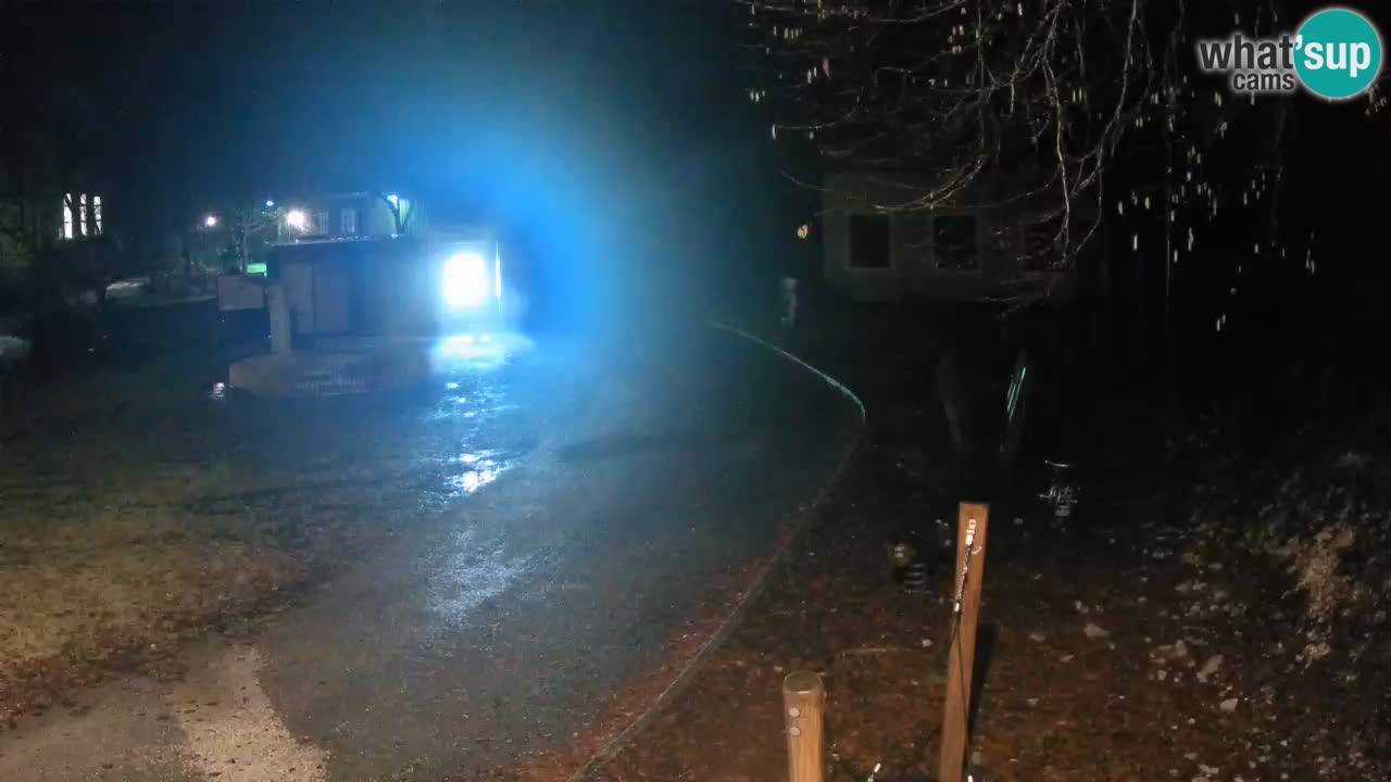 Skrad webcam Zeleni Vir