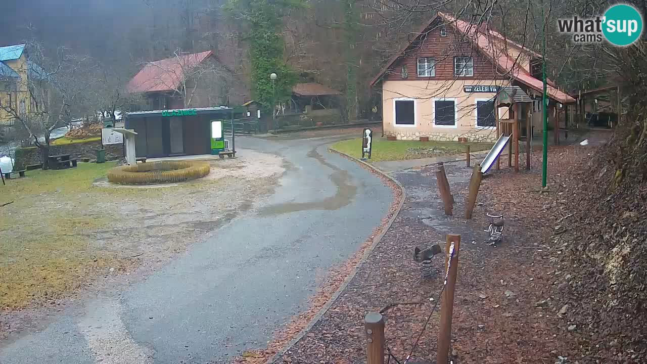Skrad live cam Zeleni Vir