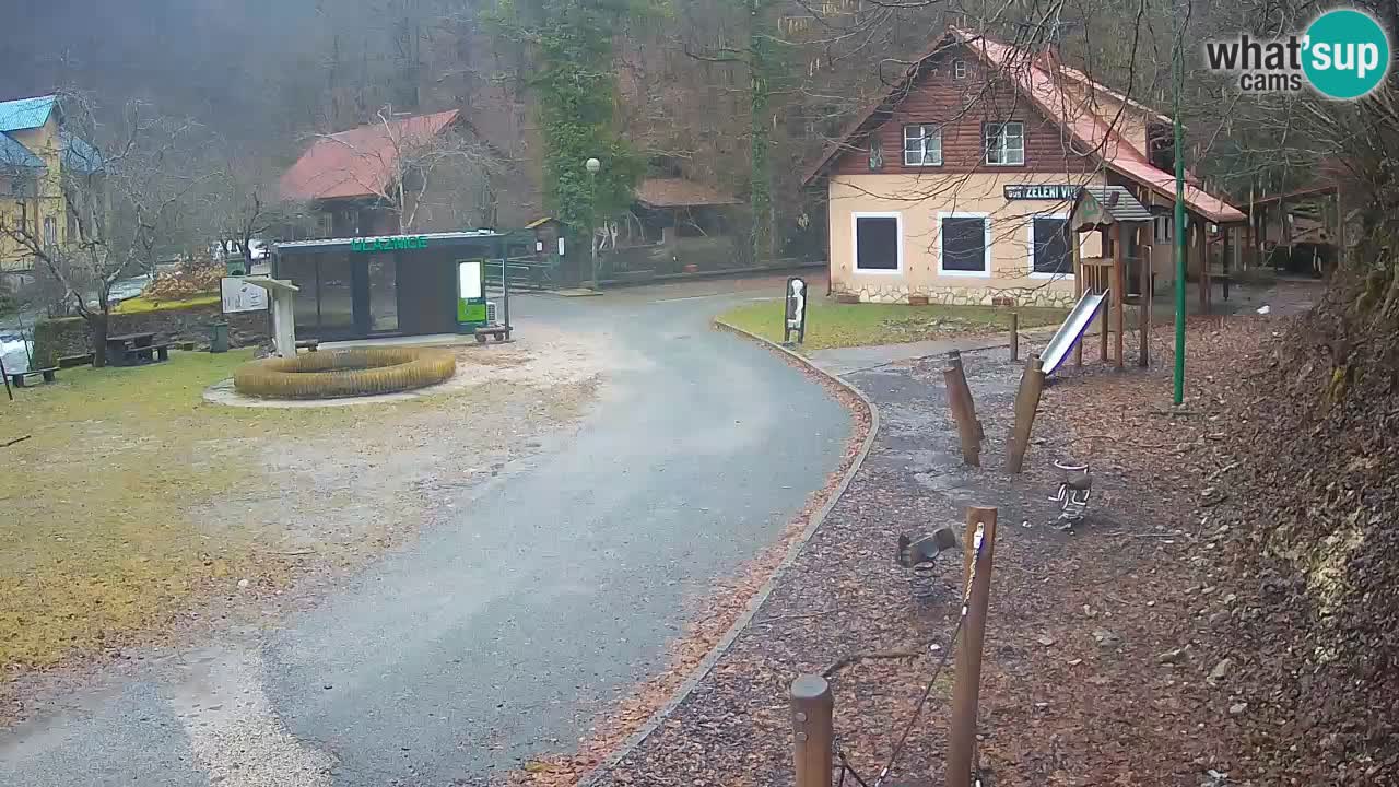Skrad webcam Zeleni Vir
