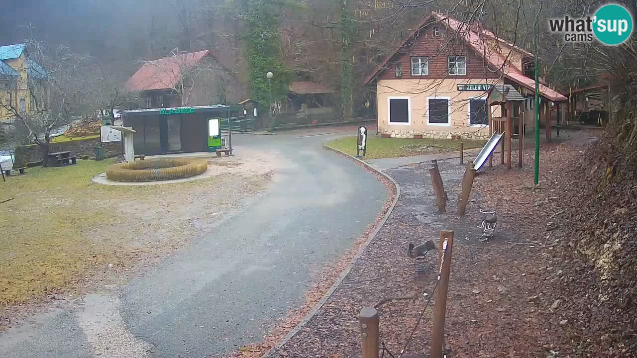 Skrad webcam Zeleni Vir