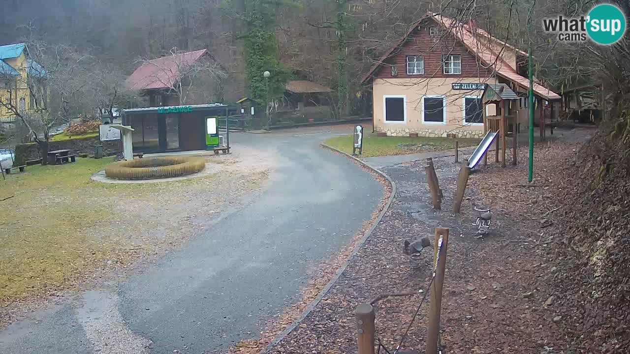 Skrad webcam Zeleni Vir