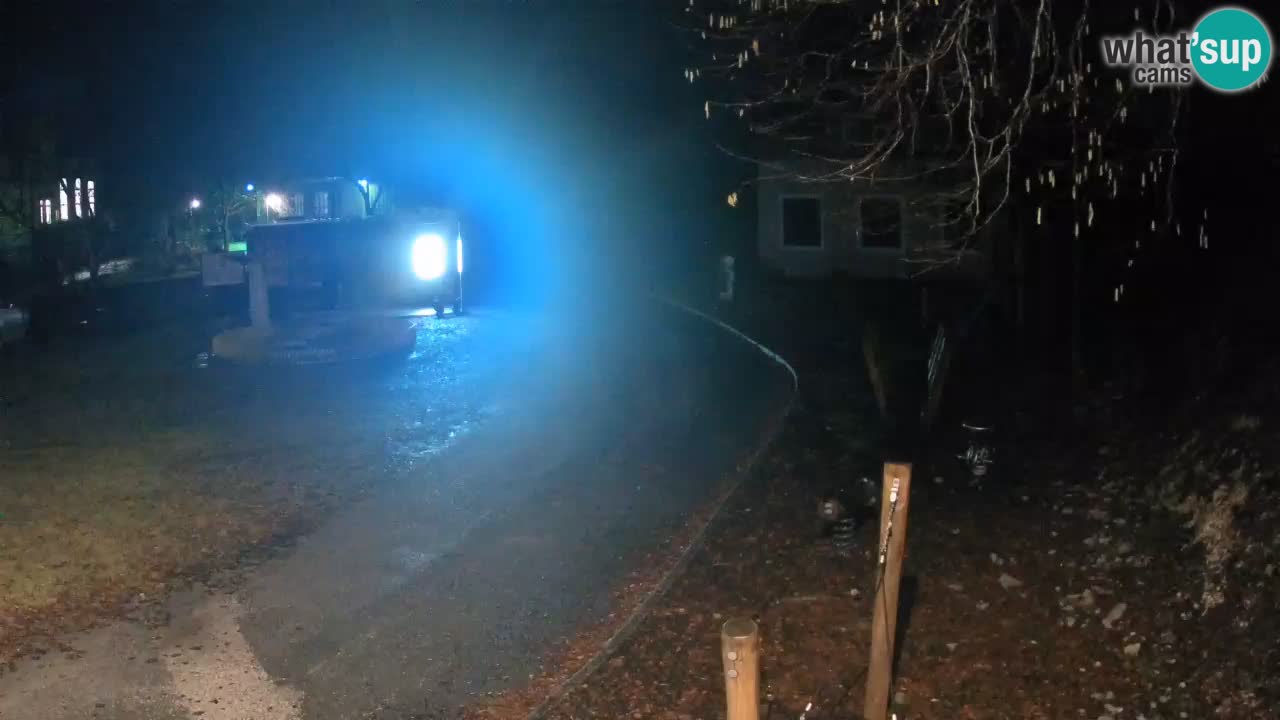 Skrad webcam Zeleni Vir