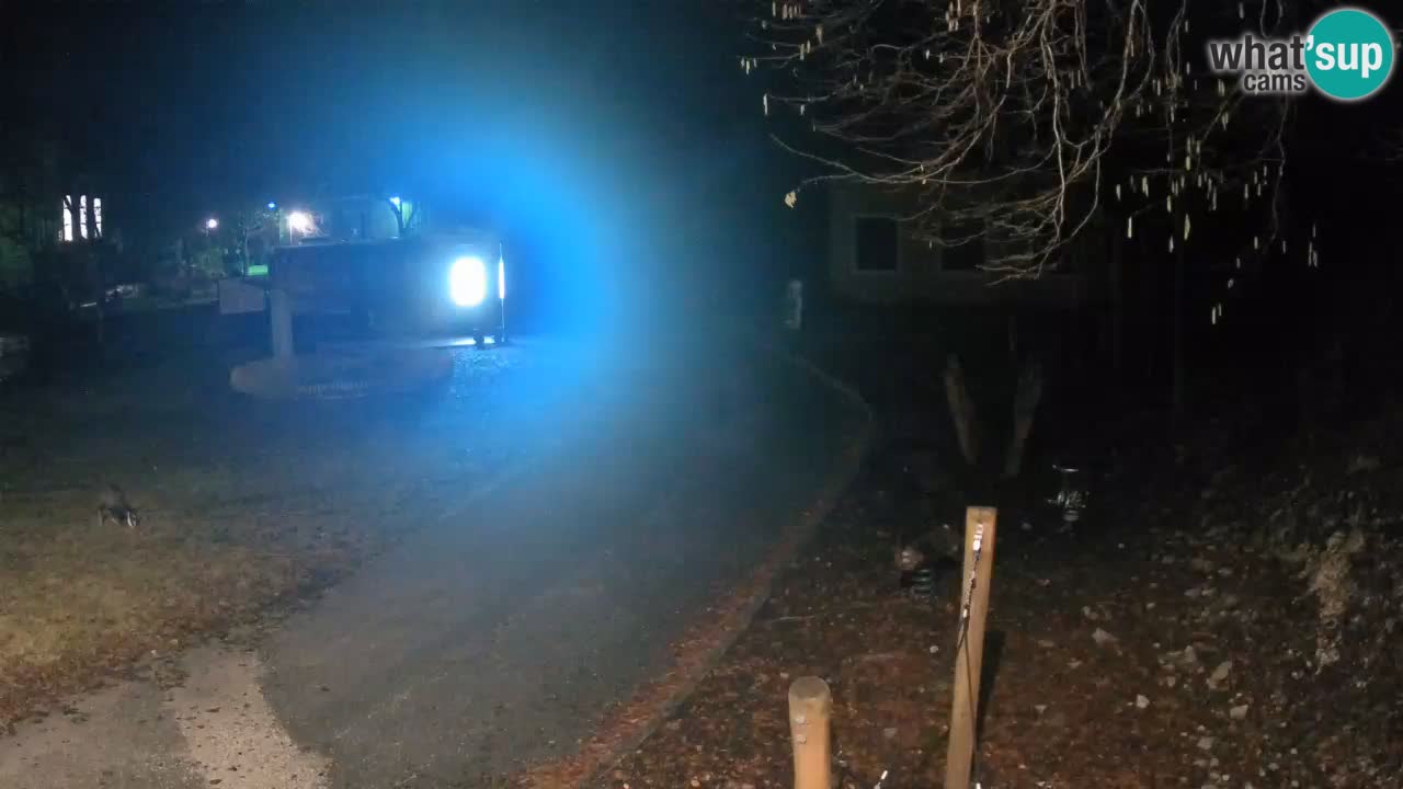 Skrad livecam Zeleni Vir