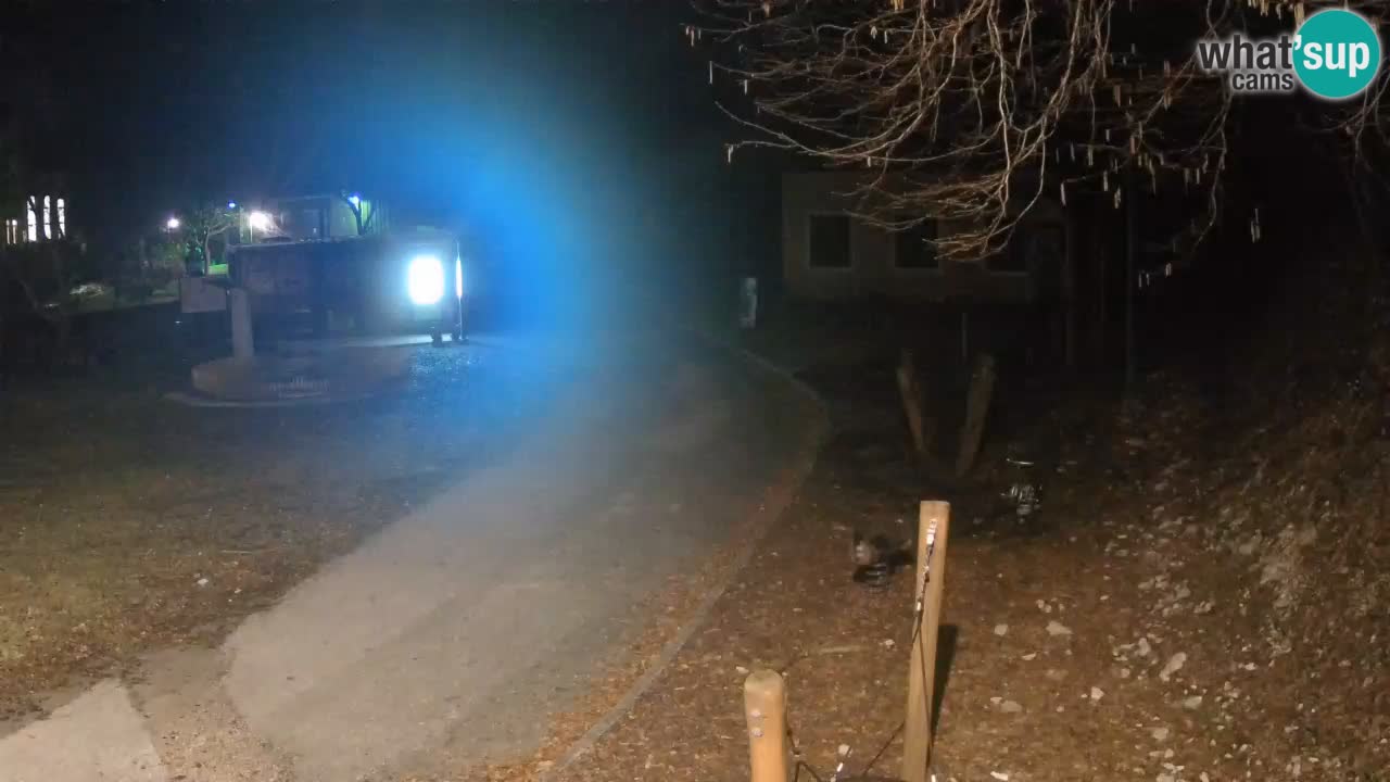 Skrad webcam Zeleni Vir