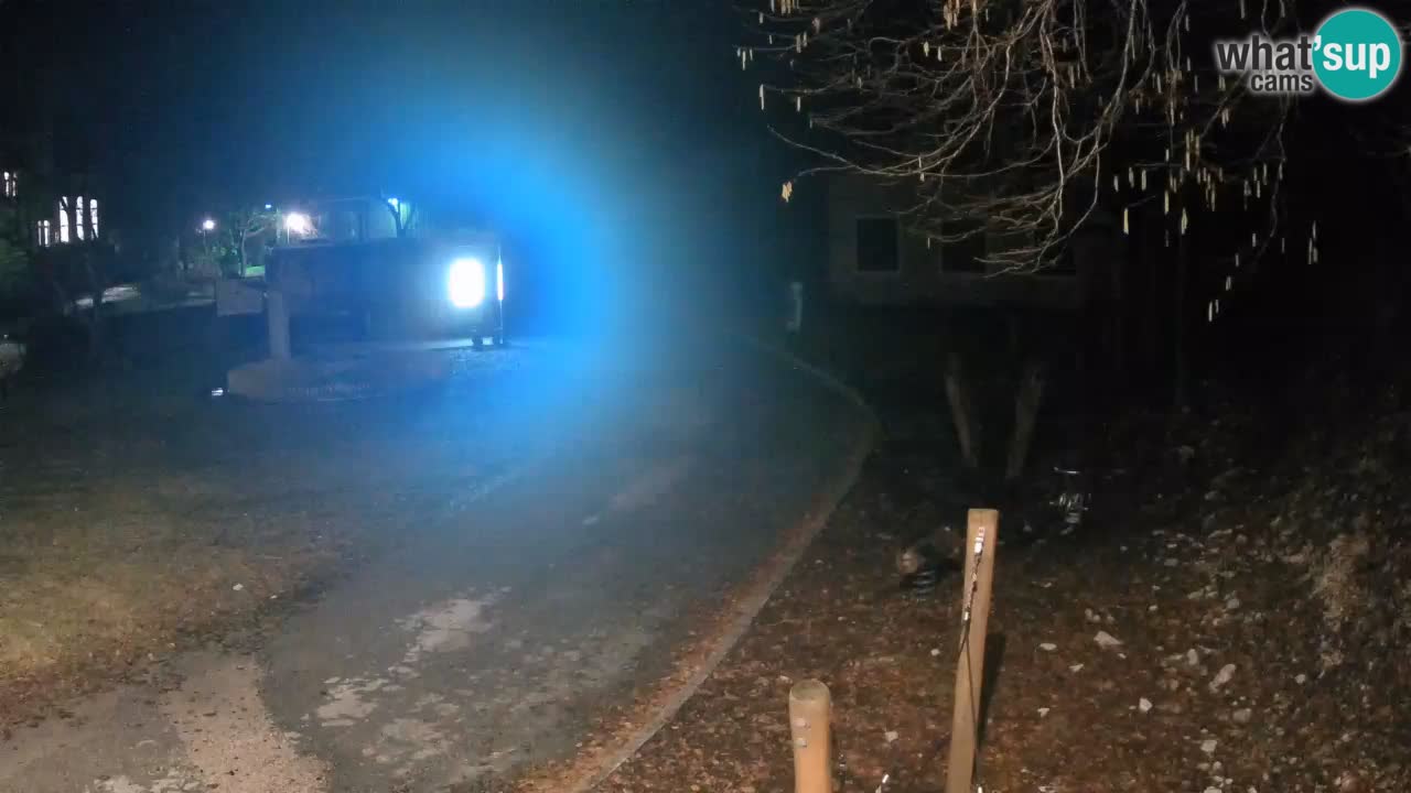 Skrad web kamera Zeleni Vir