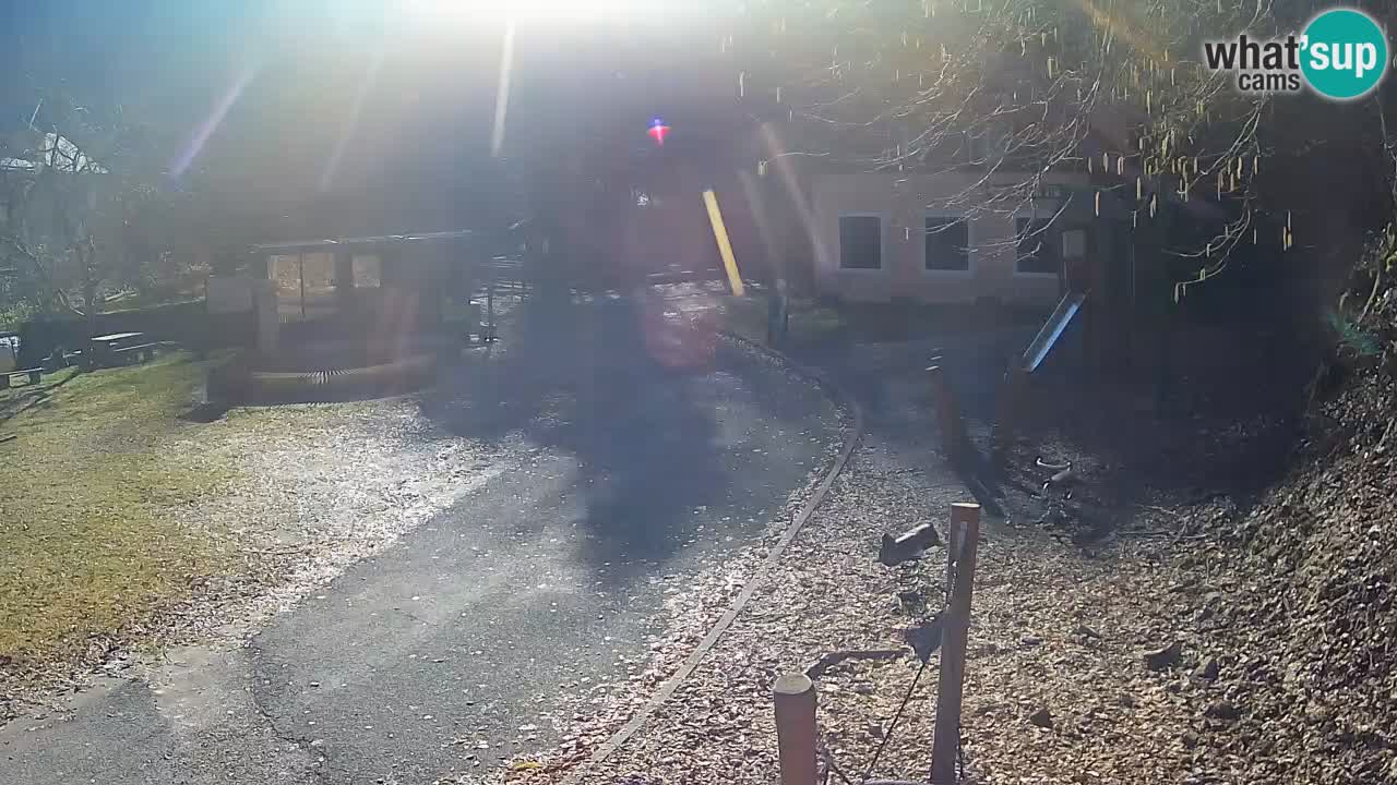 Skrad spletna kamera Zeleni Vir