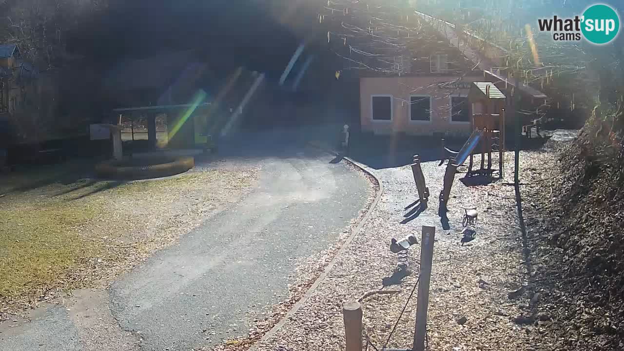 Skrad spletna kamera Zeleni Vir