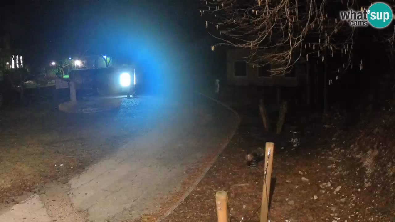 Skrad web kamera Zeleni Vir