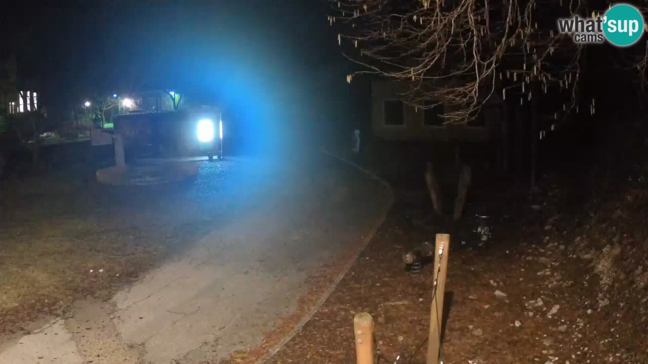 Skrad webcam Zeleni Vir