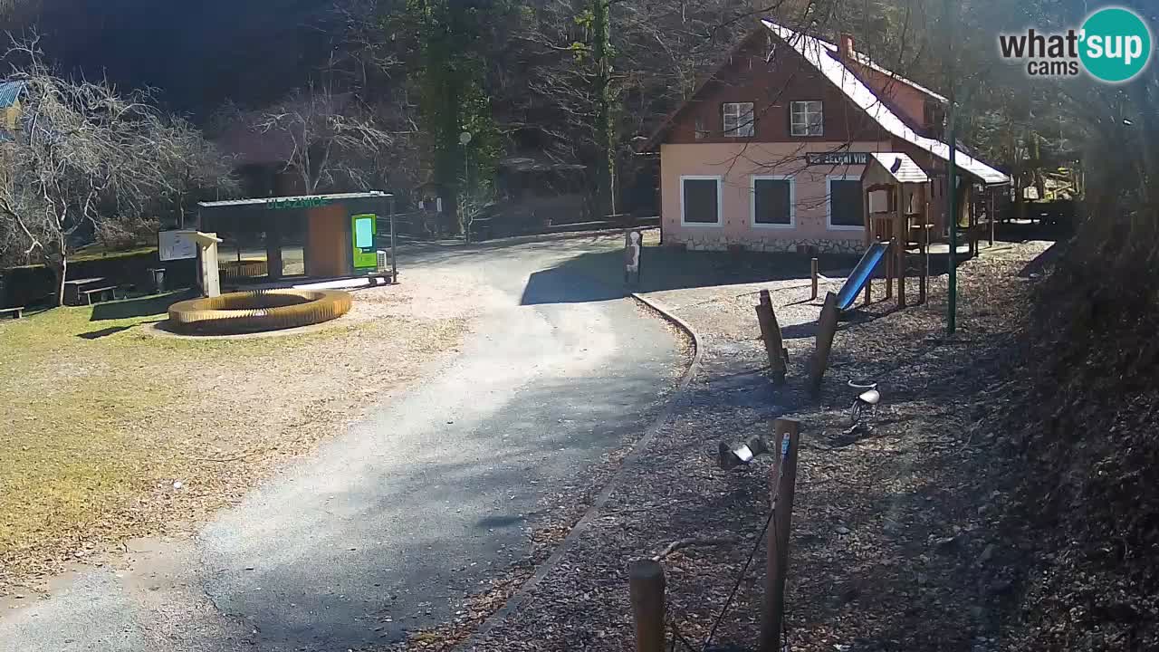Skrad webcam Zeleni Vir
