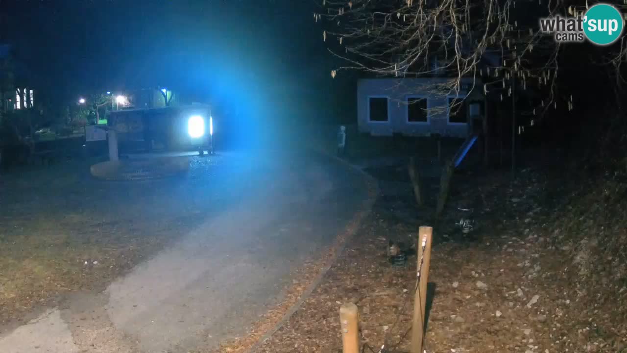 Skrad spletna kamera Zeleni Vir