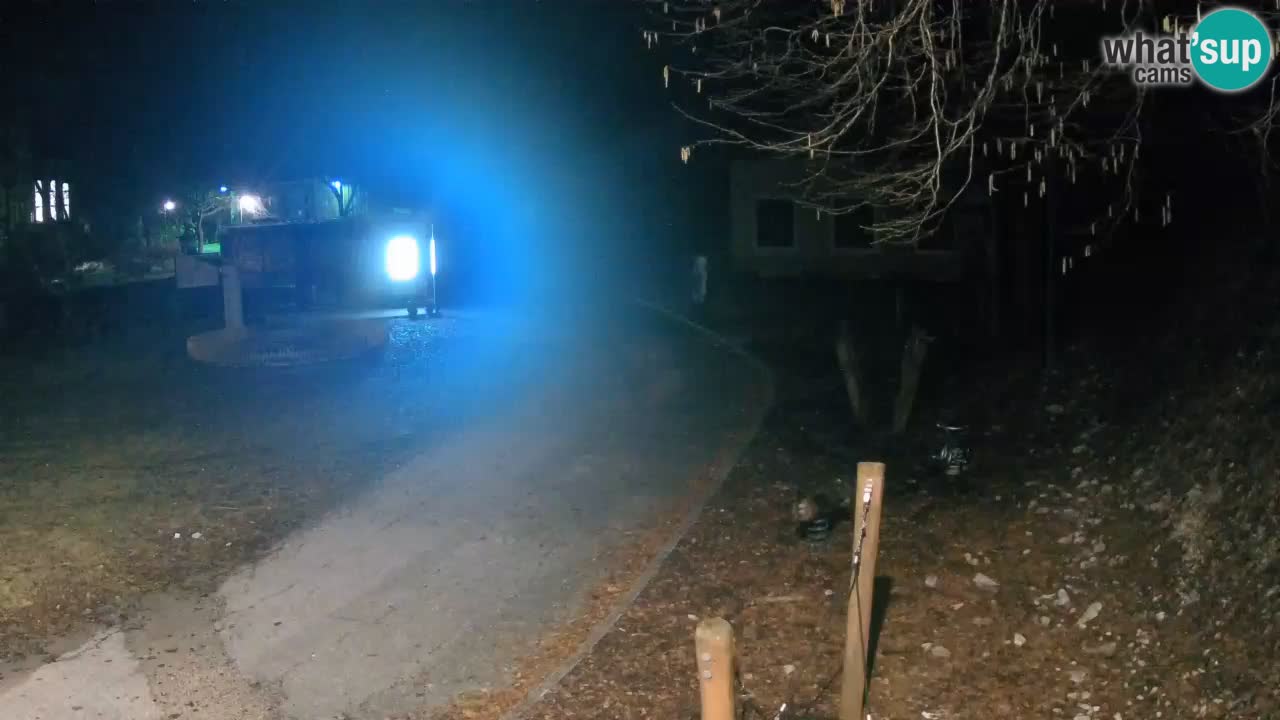 Skrad webcam Zeleni Vir