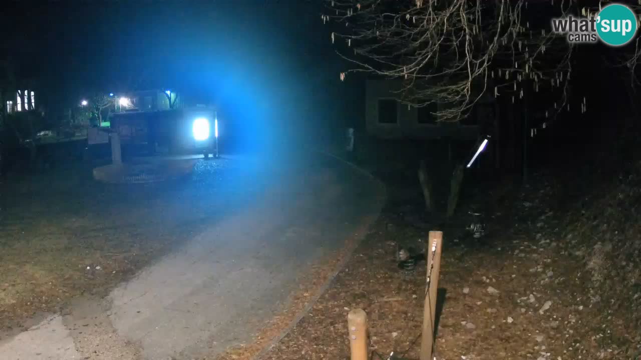 Skrad livecam Zeleni Vir