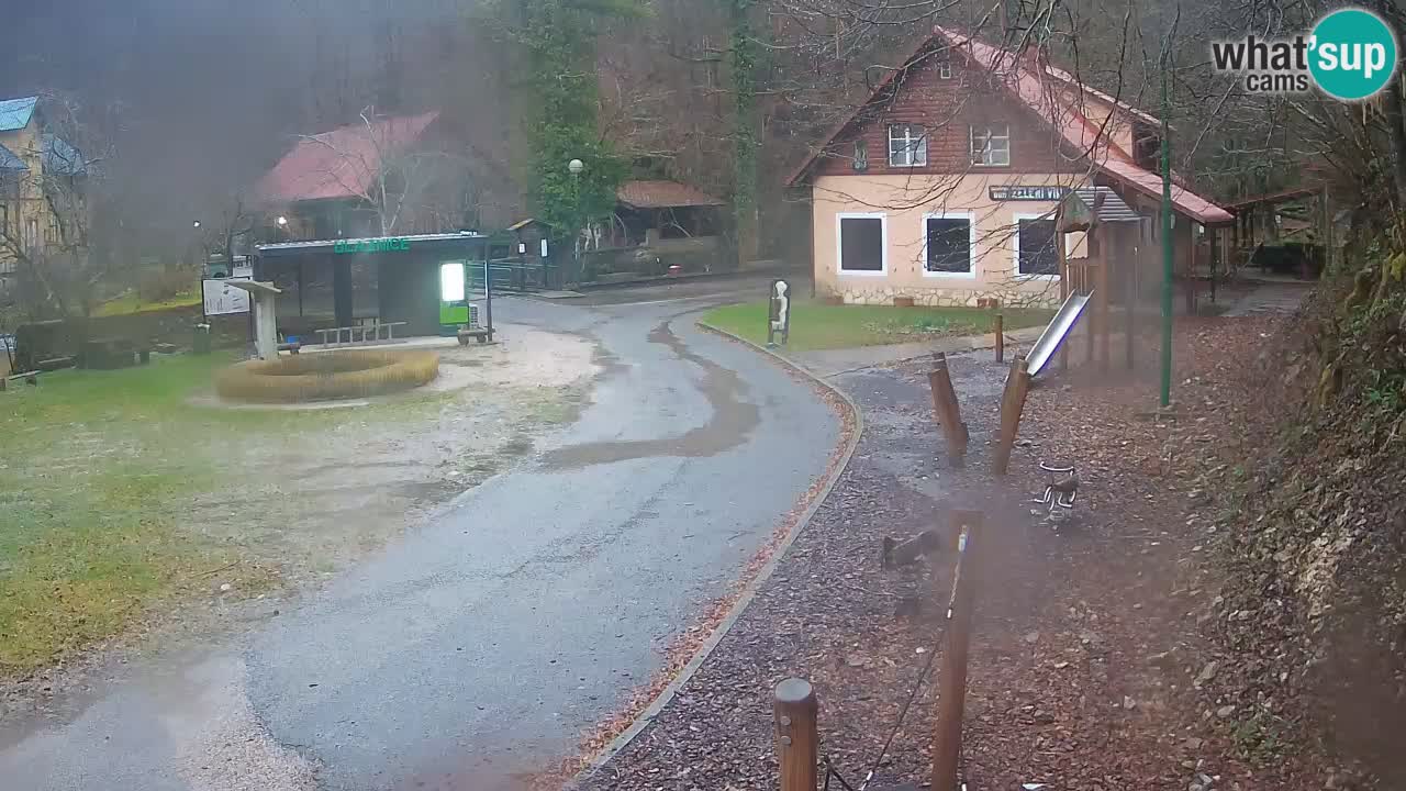 Skrad spletna kamera Zeleni Vir