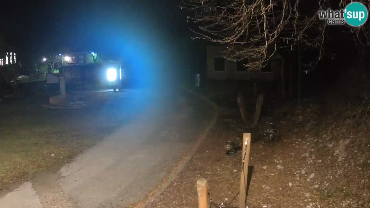 Skrad live cam Zeleni Vir