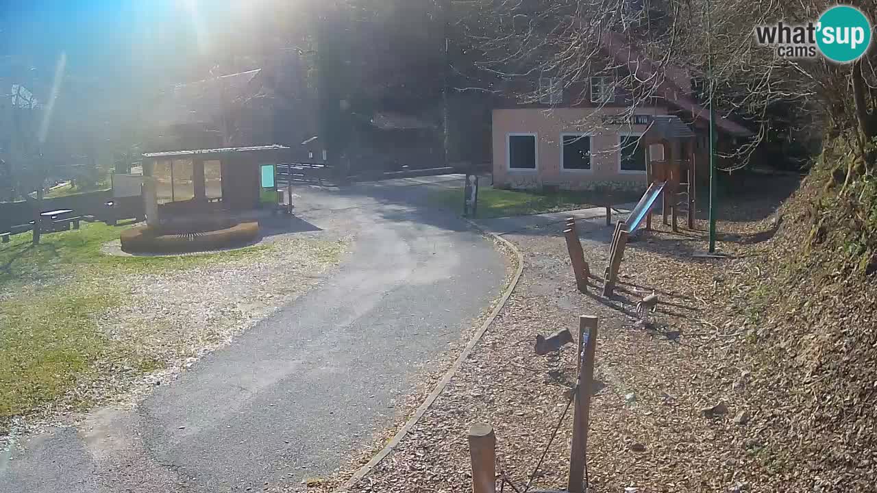 Skrad webcam Zeleni Vir