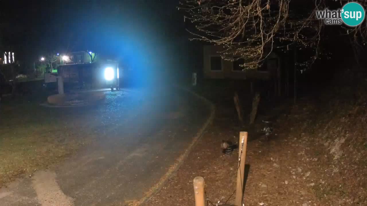 Skrad spletna kamera Zeleni Vir