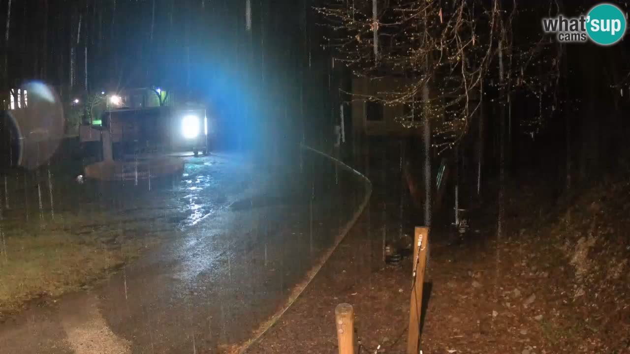 Skrad spletna kamera Zeleni Vir