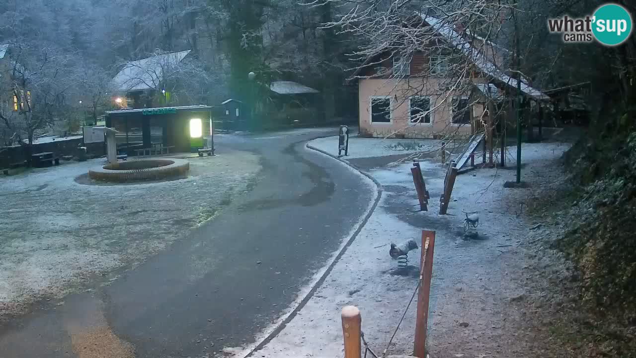 Skrad webcam Zeleni Vir